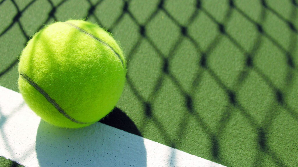 descubre el nombre del pavimento en la pista de padel 2
