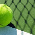 Descubre el nombre del pavimento en la pista de pádel descubre el nombre del pavimento en la pista de padel 2